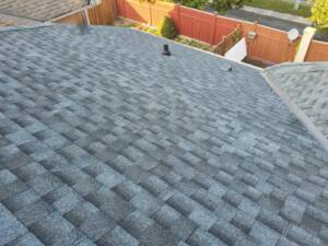 shingle roof